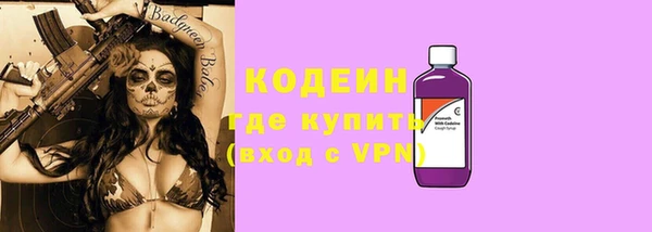 МДПВ Долгопрудный