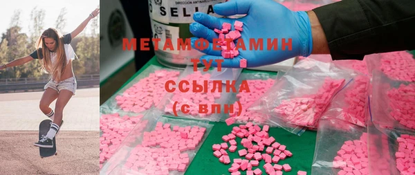 прущие грибы Новый Уренгой