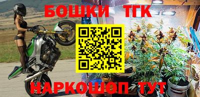 бошки Камышлов