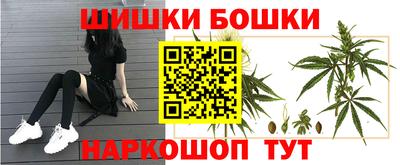 apvp Канаш