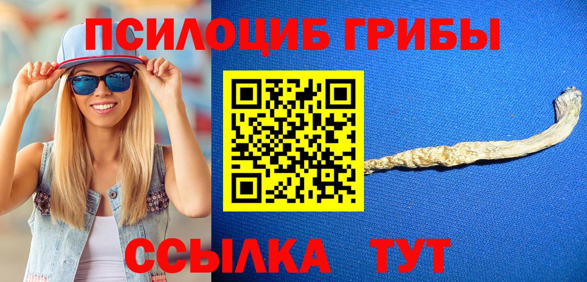 Галлюциногенные грибы Psilocybine cubensis Кумертау